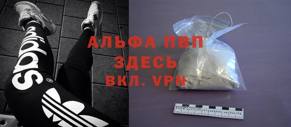 шишки Майский