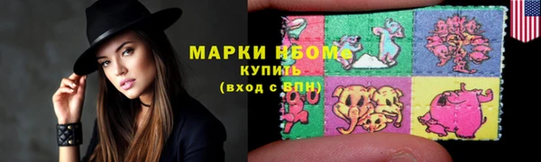 шишки Майский