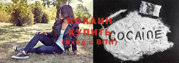 шишки Майский