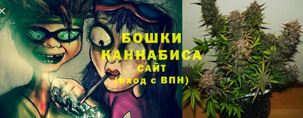 шишки Майский