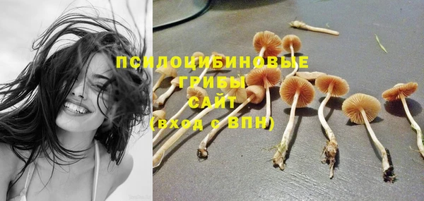 шишки Майский