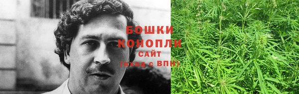 шишки Майский