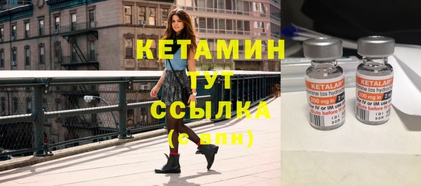 шишки Майский