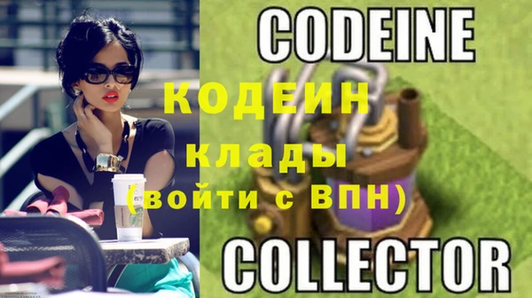 шишки Майский