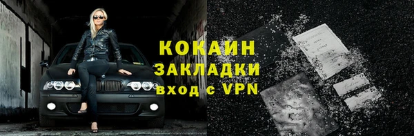 шишки Майский