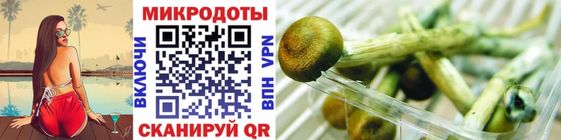 наркота  Нальчик  Псилоцибиновые грибы ЛСД 